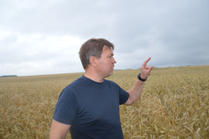 Ahti Aruksaar. Viljemeister OÜ. Rukis. 2017