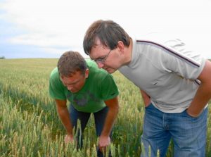 Ahti-Kalde-ja-Jaak-Toks.-Sadala-Agro-OU.-Rukis.-2008
