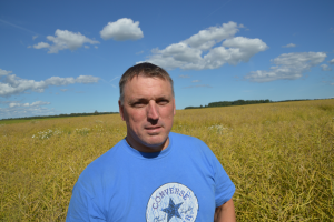 Aimar Allingu. Reinu Põld OÜ. Raps. 2017