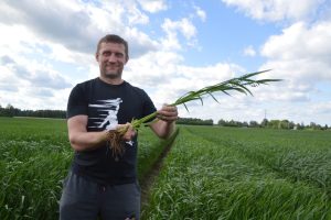 Ants-Endel Sõrra, Kämara-Antsu talu, kaer 2025