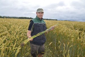 Argo-Laats.-Halinga-OU.-2015