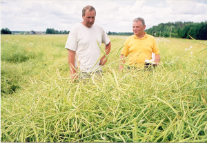 Avo-Samaruutel.-Rapsi-saagikuse-voitja.-Tulukuse-voitja.-2005