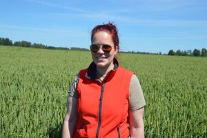 Edith Saks, Krootuse Agro, nisu 2025