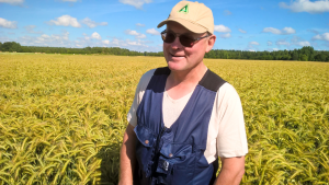 Eugen Koit. Koidu Agro OÜ. Tritikale. 2017