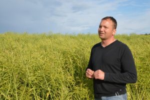 Jaak-Toks.-Sadala-Agro-OU.-2015