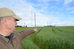 Jüri Ilves. Caro Mahe OÜ. Kaer. 2017