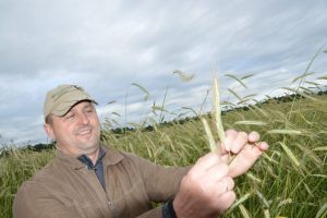 Jüri Ilves. Caro Mahe OÜ. Rukis. 2017