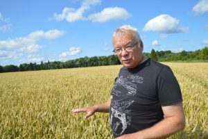 Kaido Kirst. Nisu. 2019