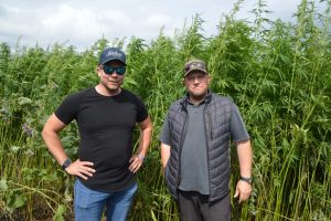 Kalmer Kivirai, Saare Muldne, õlikanep 2025