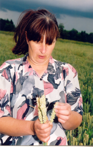 Kohtunik-Livi-Rooma.-2005