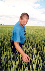 Leino-Tamman.-FIE-Leino-Tamman.-Talinisu-Portal.-2005