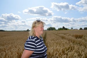 Rut Kaeval. Nisu. 2019