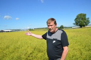 Toomas Riiberg. Vinimex. Raps. 2017