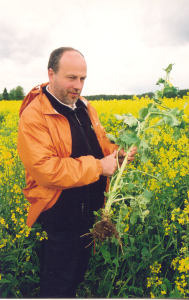 Voitnud-rapsipold-oitsmisfaasis.-02.06.2005